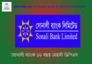 Sonali Bank DPS, ১০ বছর মেয়াদী সোনালী ব্যাংক ডিপিএস ২০২২